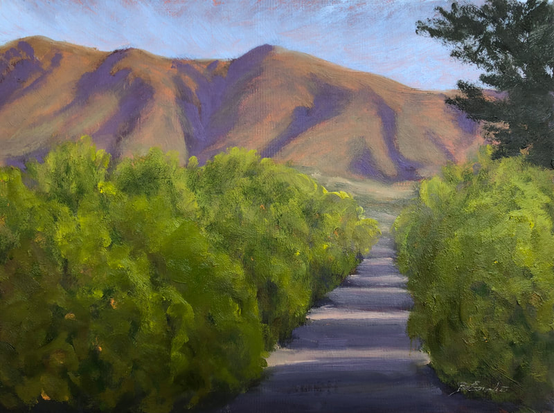 Ojai Orange Grove - Ojai, CA Landscape painting.  