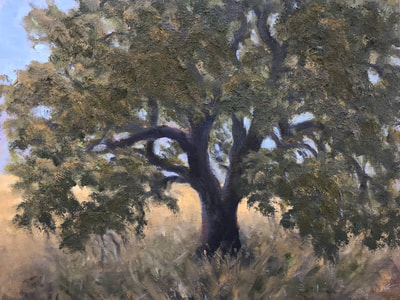 Old Oak Tree, Ojai CA painting.